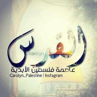 Fotos de Mohamed Ḿōŵàfý