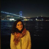 merve kocamemik的照片