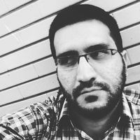 HosseinAli Hamledari的照片