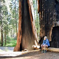 Фотографии пользователя Jessyca Stoepker