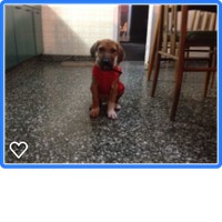 Fotos de federico anchorena