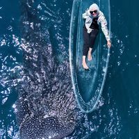 Фотографии пользователя Sari Nastiti