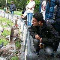 Julio Montañana's Photo