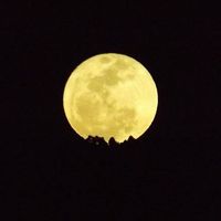 Fotos von Jessica Guerrero