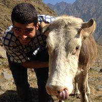 Sina M. Nick's Photo