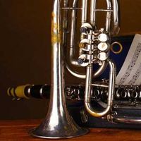 Lisa Cantoia's Photo