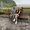 Yuliya Griga's Photo