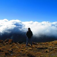 Marco Torres的照片