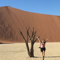 Alex Nikazmerad's Photo