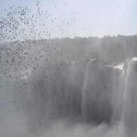 Gimena Pasten's Photo