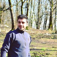 Mostafa pourmoosa的照片