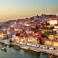 Elisabete Ribeiro's Photo