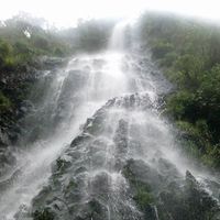 Fotos von Chico-cu Tarjetum