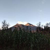 Mai To's Photo