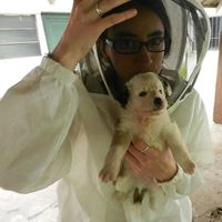 Cintia Gaspar的照片