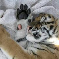 Ferhat Zeybek's Photo