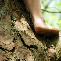 Photos de gaelle Girardot