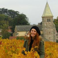 M Angeles Cannobbio's Photo