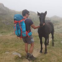 Lucas ROGLIANO的照片