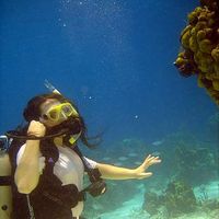 Megan Wilkes的照片