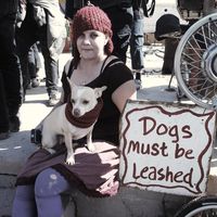 Anne Tinomy的照片