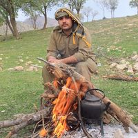 Omid Hassani's Photo