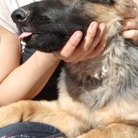 Amanda Melacci's Photo