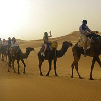 Victoria McGee's Photo