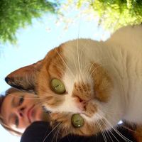 Fotos de Zsófi Antal