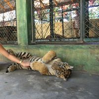 Фотографии пользователя Michelle Hochhausen