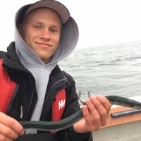 Gustav Helms's Photo