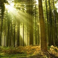 Ben Bonneau的照片