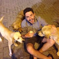 Thomas Palmer的照片