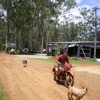 Patrick Coley's Photo