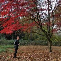 Gregor Schindler's Photo