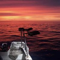 Ali Boulhadraj的照片