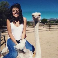 Raven Bosman's Photo