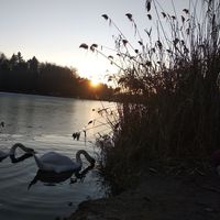 Açelya Arslan's Photo