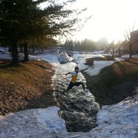 Fotos de Pruthul Ravindranath