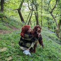 Hannah  Williams的照片