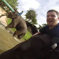 Ted Tarricone的照片