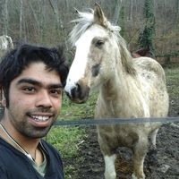 harry jandu的照片