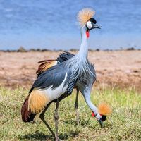 Zdjęcia użytkownika emmanew laban