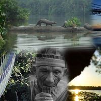 guido quispe  huillca的照片