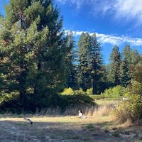 Julieta marcos's Photo