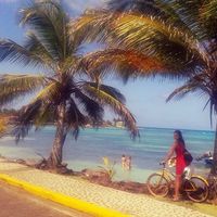 Jana Janine的照片