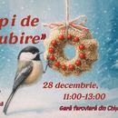 Aripi de iubire - The Wings of Love🐦‍⬛'s picture