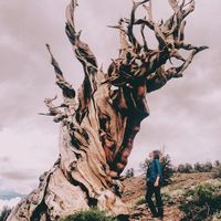 Becca Bowden的照片