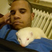 Fotos de Michel Elada