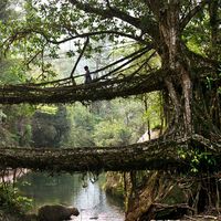 Dalibor Nosic的照片